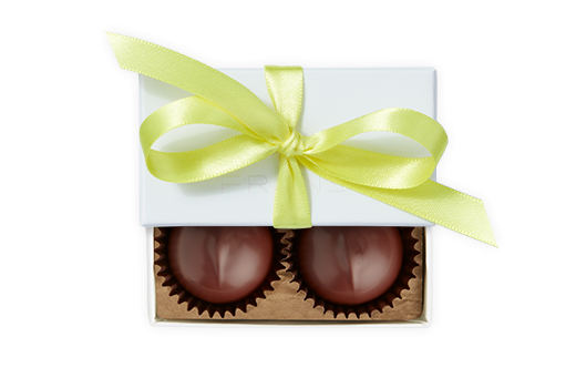 2pc-dark-truffles-ivory-brightyellow-FY23