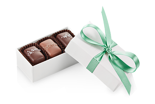 3pc-salted-caramels-ivory-sage-angle-FY20