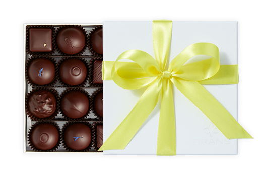 16pc-dark-truffles-ivory-brightyellow-FY24