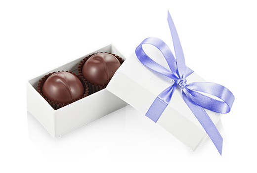 2pc-dark-truffles-ivory-iris-angle-FY20